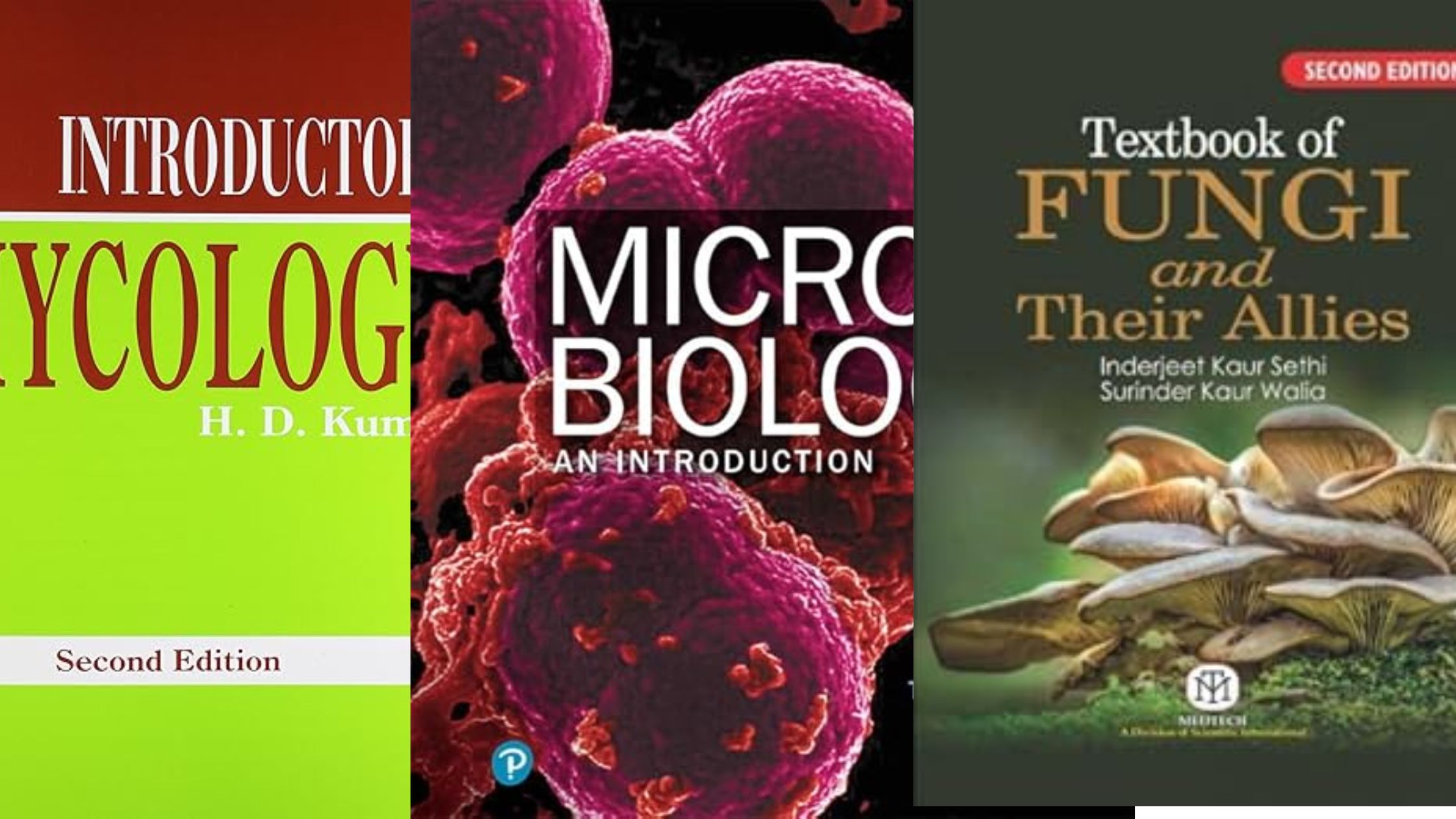 8 Best Book for Biodiversity (Microbes, Algae, Fungi and Archegoniate)