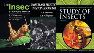 9 Best Books for Insect Biology