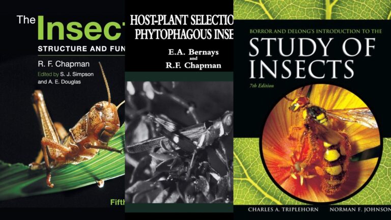 9 Best Books for Insect Biology