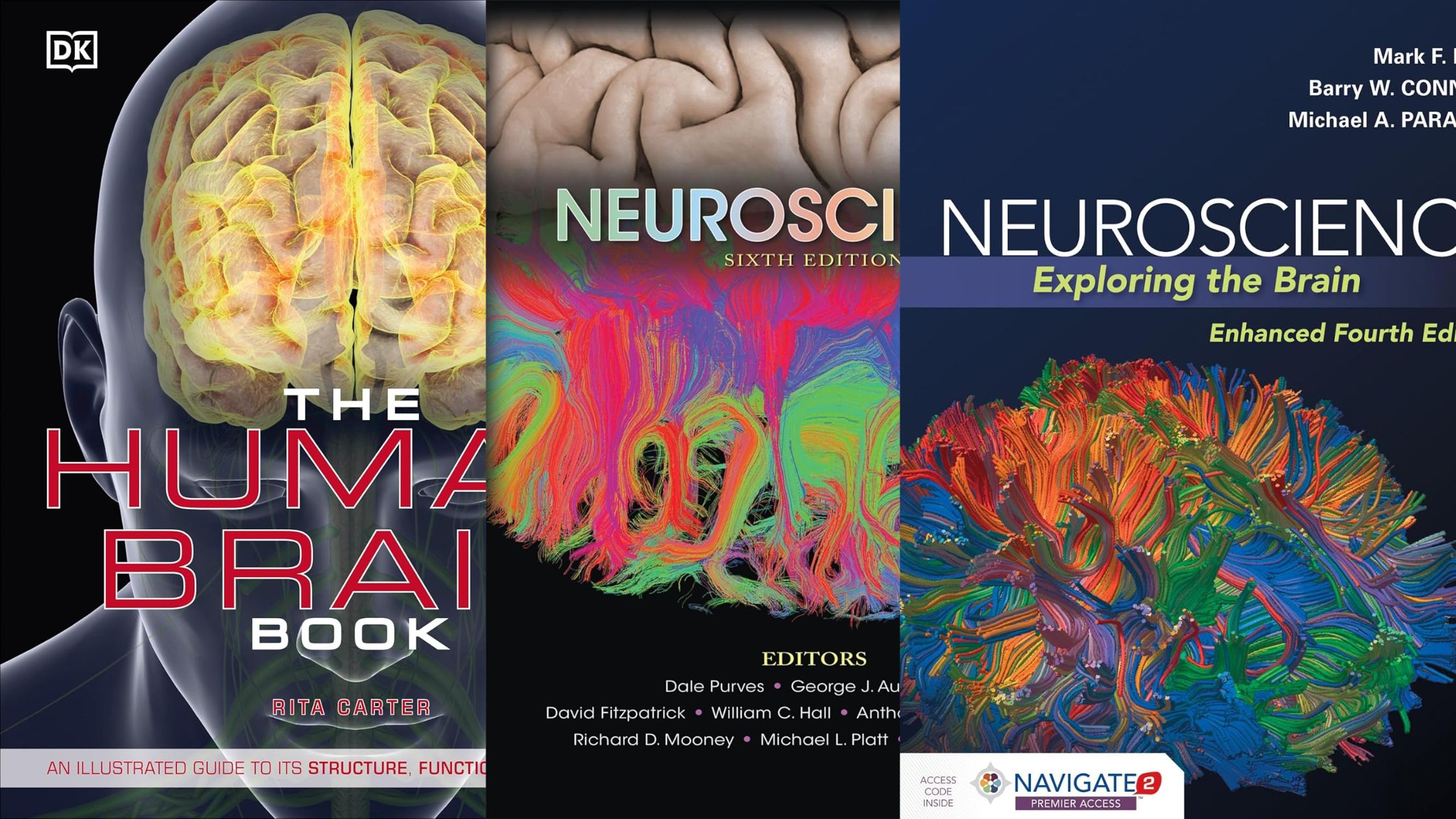 9 Best Books for Neuroscience