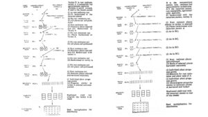 Backcross Method – Procedure, Applications, Advantages, Disadvantages
