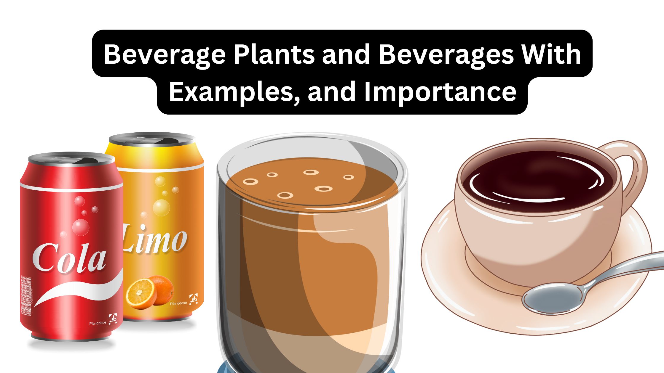 Beverage Plants and Beverages With Examples, and Importance