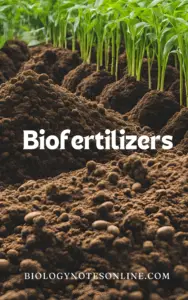 Biofertilizers