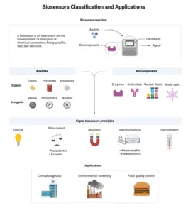 Biosensors – Principle, Types, Characteristics, Applications