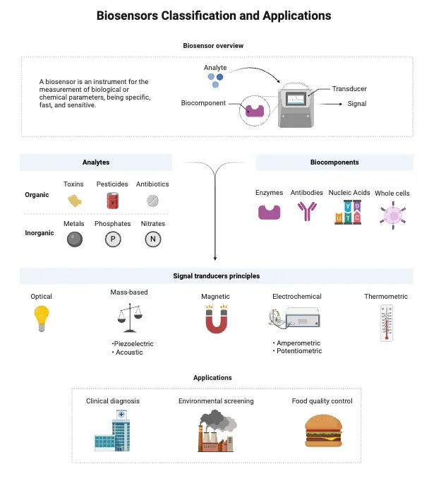 Biosensors - Principle, Types, Characteristics, Applications