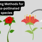 Breeding Methods for Cross-pollinated species