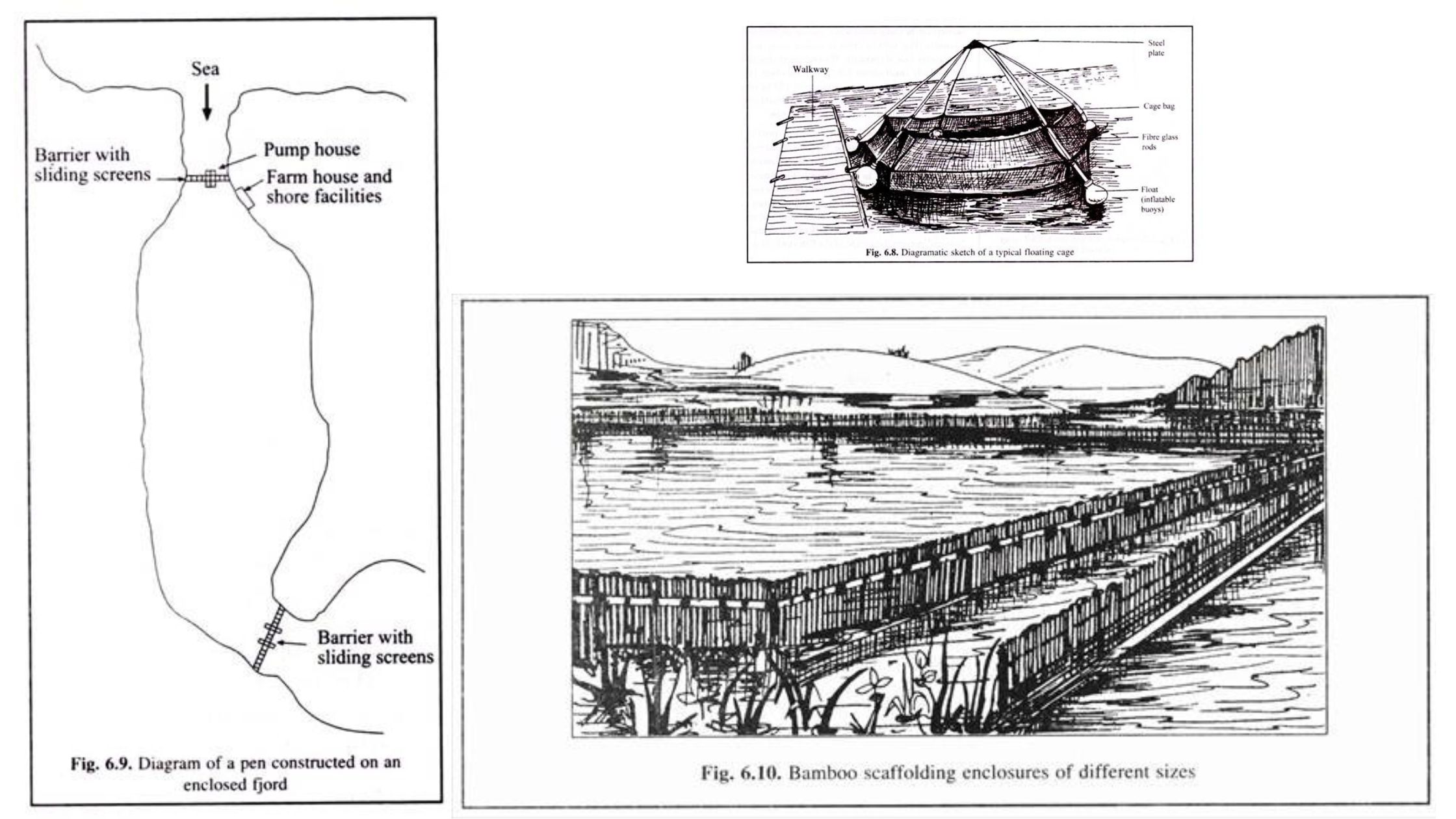 Conventional methods of aquaculture