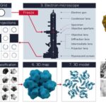 Cryo Electron Microscopy - Principle, Strengths, Limitations and Applications