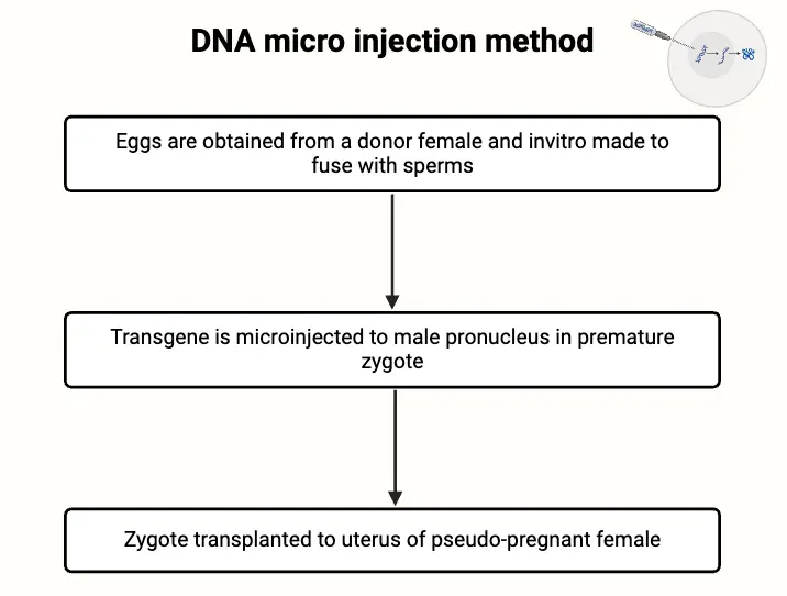 DNA micro injection method 