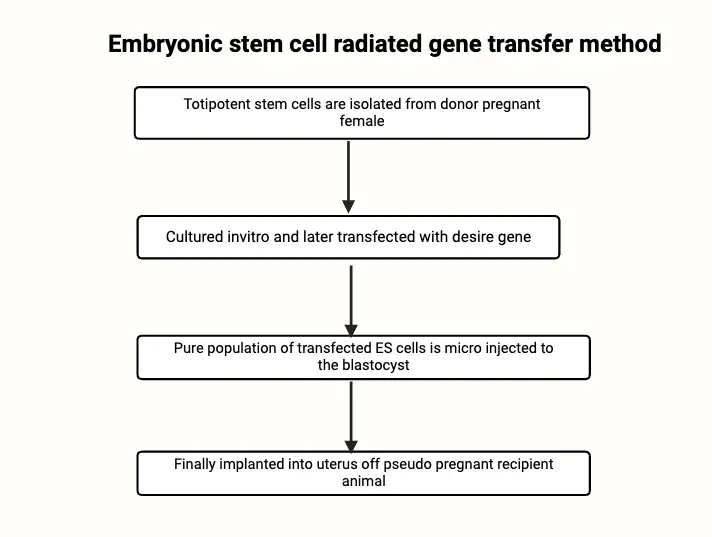 Embryonic stem cell radiated gene transfer method