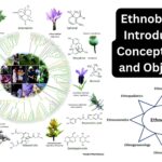 Ethnobotany - Introduction, Concept, Scope and Objectives