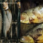 Fish Preservation and Processing