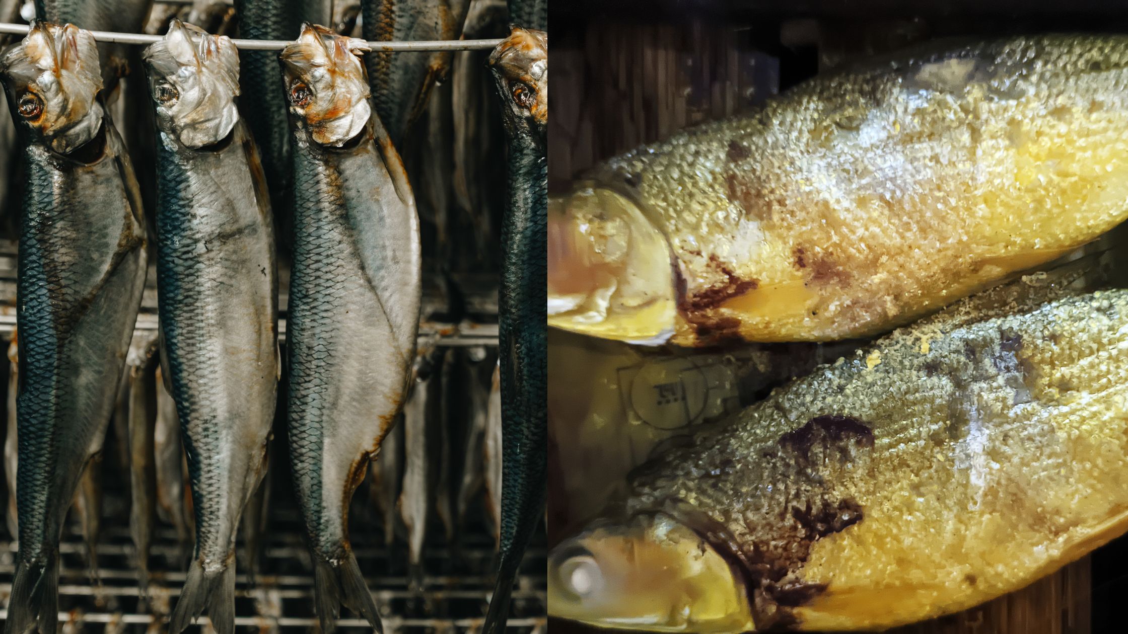 Fish Preservation and Processing