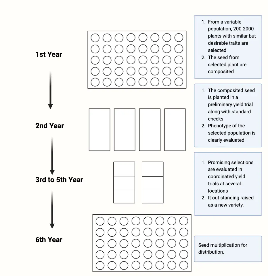 Mass Selection Method