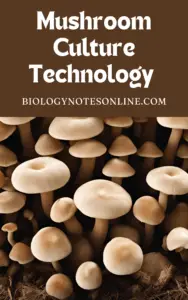 Mushroom Culture Technology