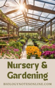 Nursery and Gardening