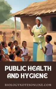 Public Health And Hygiene