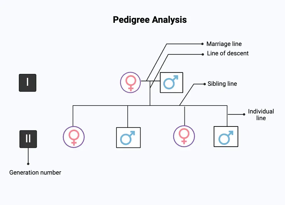 Pedigree Analysis