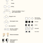 Pedigree Chart Symbols