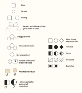 Pedigree Analysis – Types, Chart, Symbols, Methods, Examples