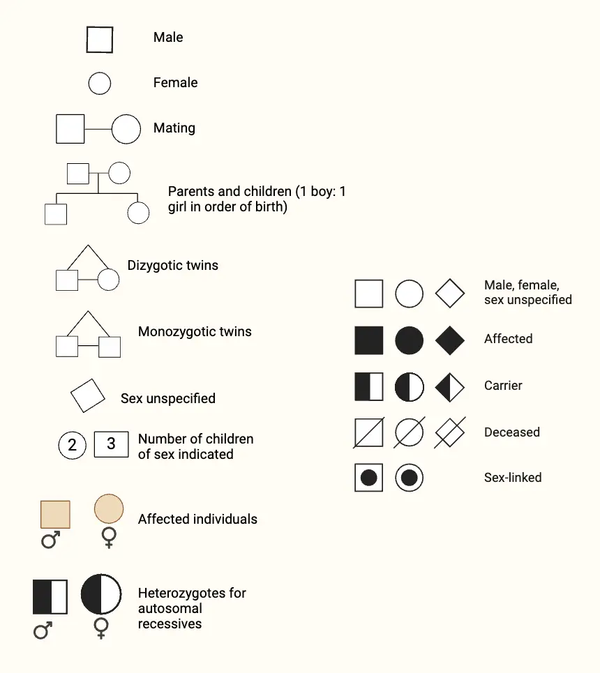 Pedigree Chart Symbols