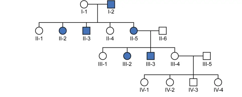  Pedigree of an autosomal dominant trait