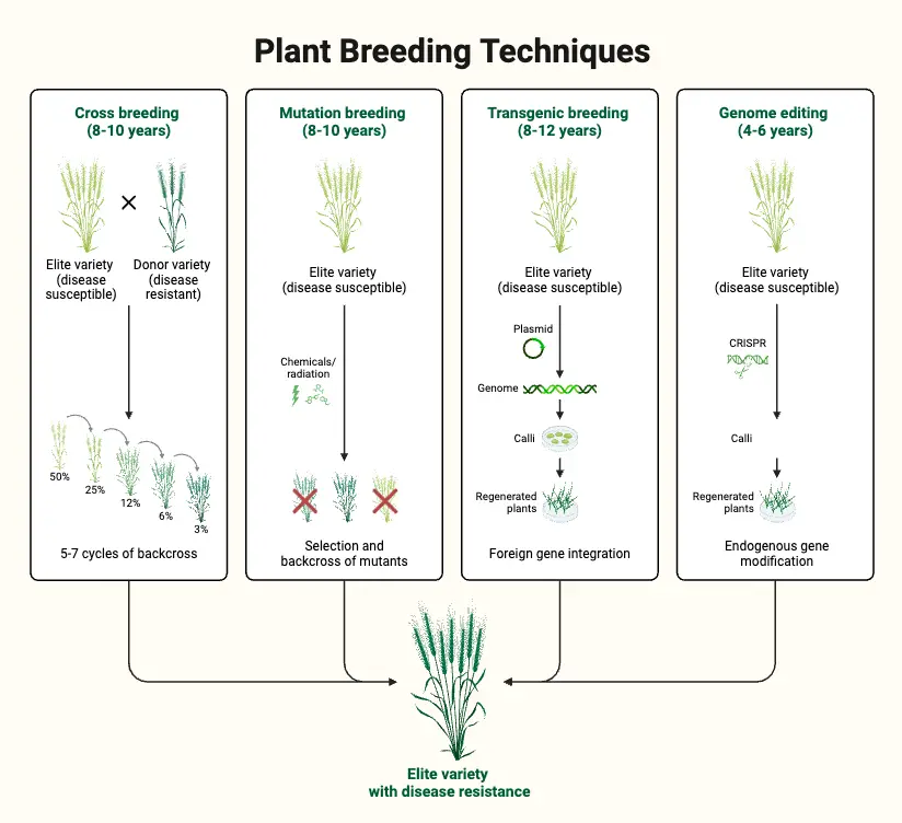 Plant Breeding Techniques