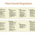 Plant Growth Regulators