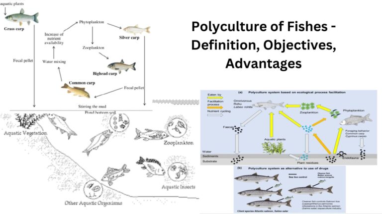 Polyculture of Fishes - Definition, Objectives, Advantages