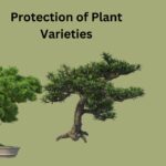 Protection of Plant Varieties - Objectives, Criteria, Process