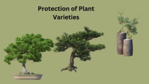Protection of Plant Varieties – Objectives, Criteria, Process
