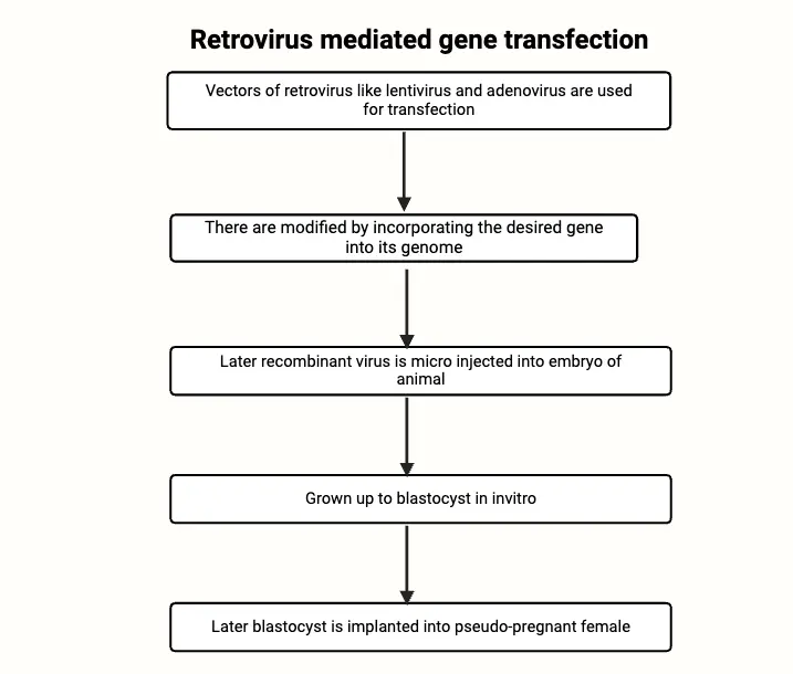 Retrovirus mediated gene transfection