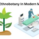 Role of Ethnobotany In Modern Medicine