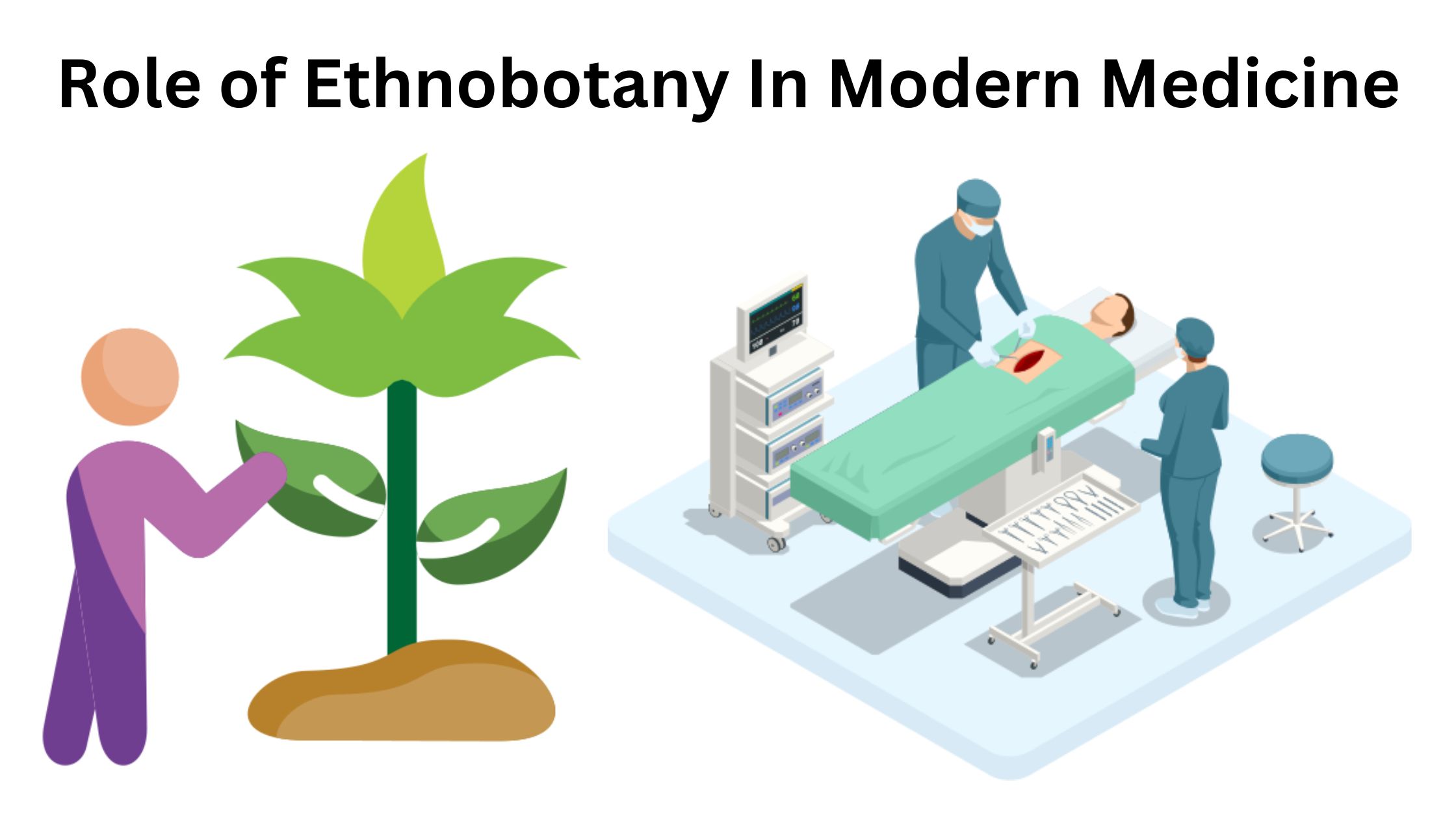 Role of Ethnobotany In Modern Medicine