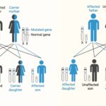 Sex-linked Inheritance