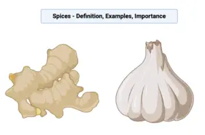 General descriptions of Spices With Definition, Examples, Importance