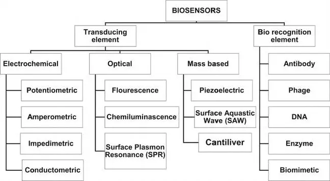 Types of Biosensors