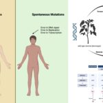 Types of Mutations