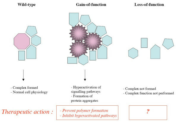 Types of Mutations Based on Loss of Function or Gain of Function