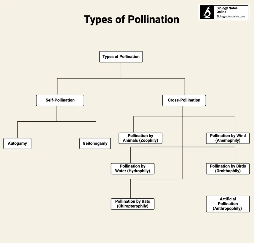 Types of Pollination