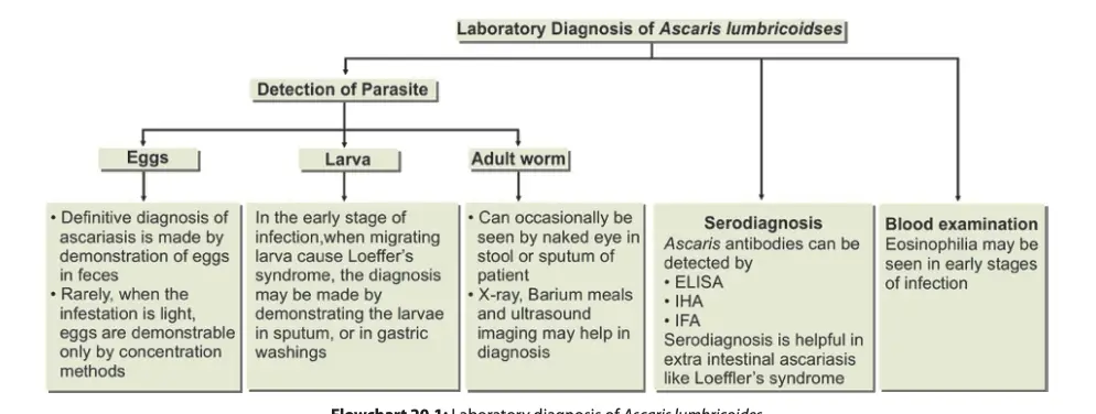 Lab diagnosis of Ascaris lumbricoides