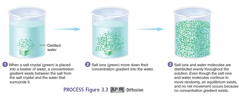 Diffusion