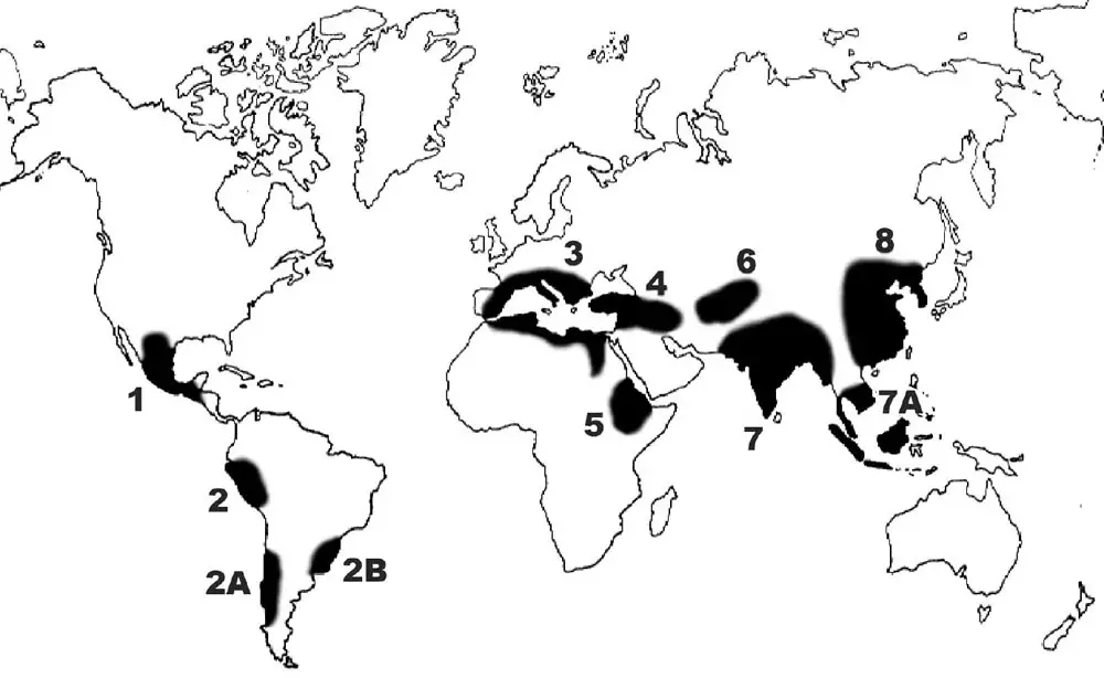 Vavilov's centres of origin