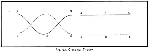 Classical Theory