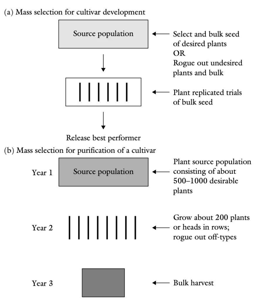 Mass selection