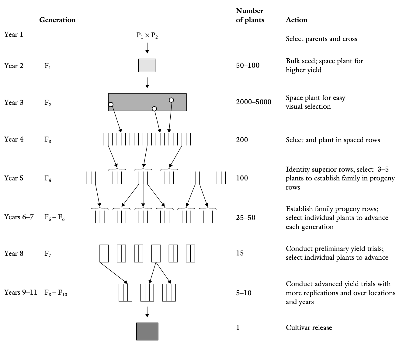 Pedigree selection