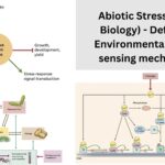 Abiotic Stress (Stress Biology) - Definition, Environmental factors, sensing mechanisms,