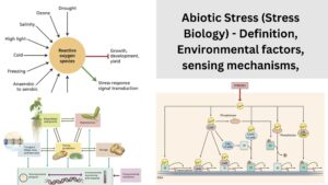 Abiotic Stress (Stress Biology) – Definition, Environmental factors, sensing mechanisms,