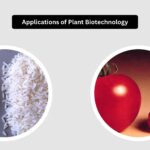 Applications of Plant Biotechnology