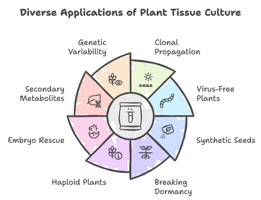 Applications of Plant Tissue Culture